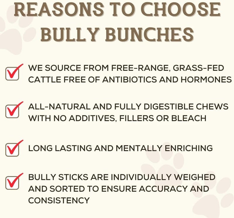 Bully Bunches Premium 12 Inch Standard Odor Free Bully Sticks for Small & Medium Dogs - Long Lasting Chews for Oral Care - Rawhide-Free, All Natural Beef Dog Treats, Packaging May Vary (5 Pk) - Image 4